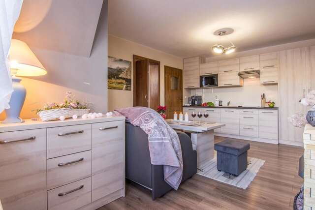 Апартаменты Apartamenty Krzeptowskiego Zakopane Закопане-30